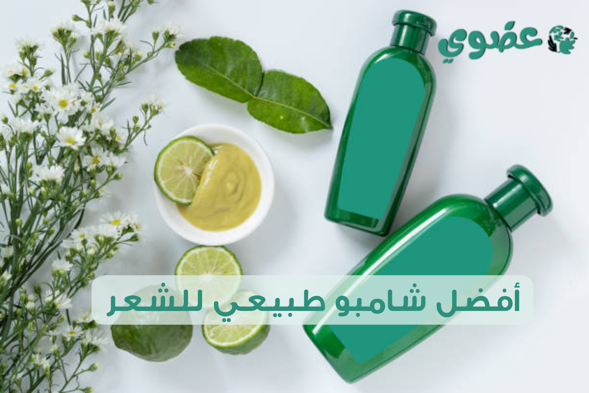 أفضل شامبو طبيعي للشعر