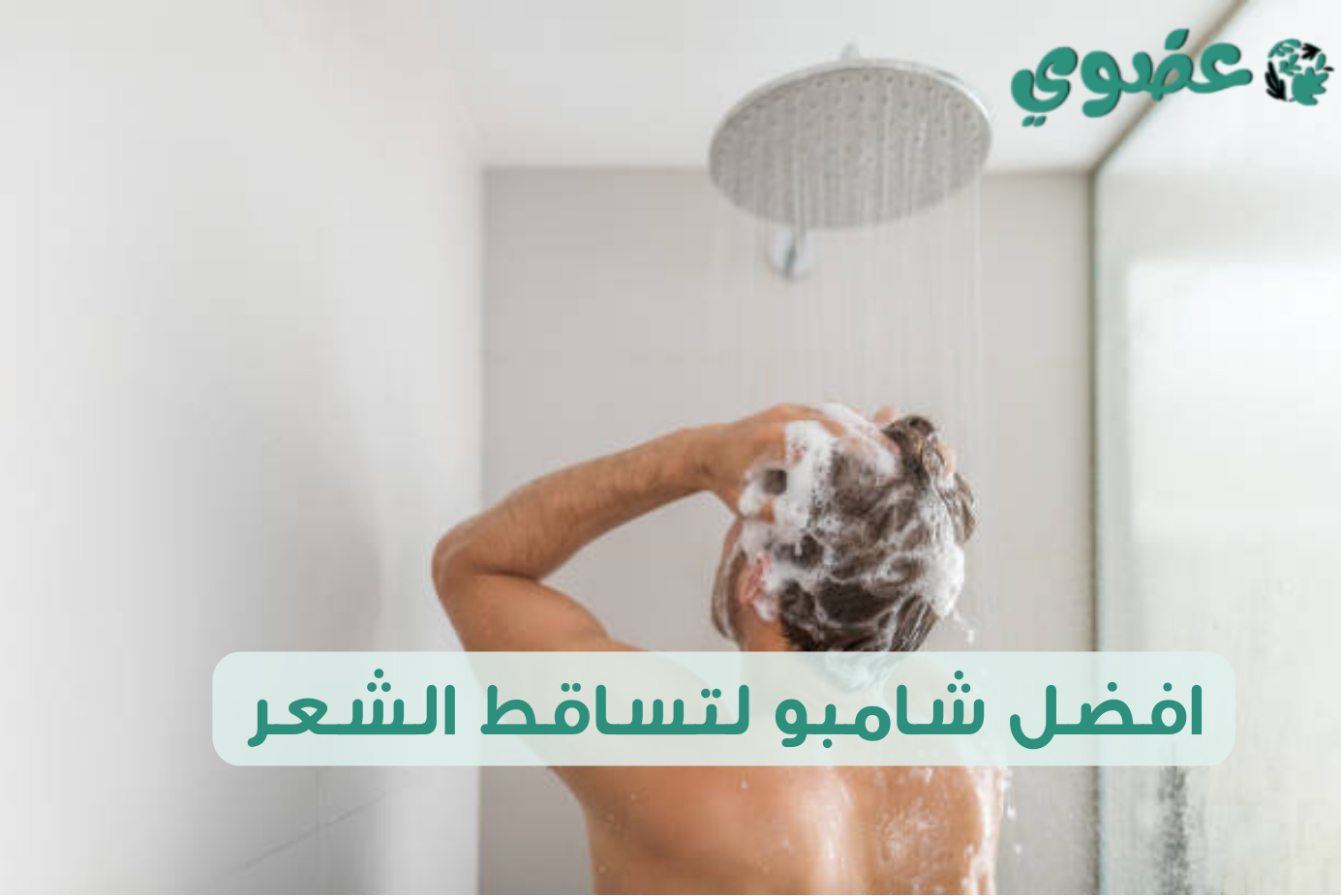 افضل شامبو لتساقط الشعر