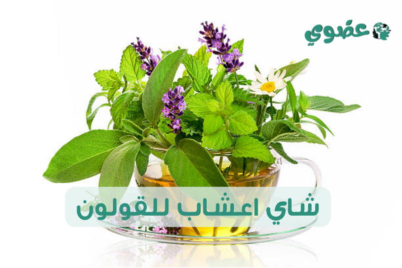 شاي اعشاب للقولون